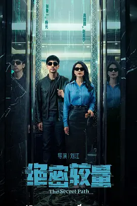 《绝密较量》下载(电视剧 夸克下载 迅雷下载)