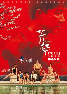 芳华(2017)电影🎦 4K + 解说 夸克网盘